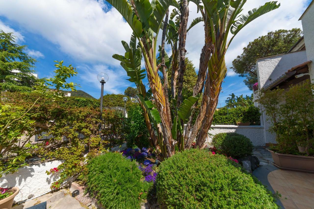 Villa Fortuna Holiday Resort Ischia Exterior photo